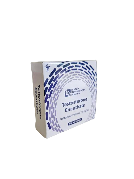 MD Pharma Testosterone Enanthate - Testosterone enanthate 250mg/ml x 10amp